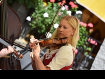Bild  082 | 185  :: Geigentag in Bad Goisern 2016