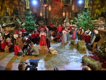 Bild  033 | 185  :: Fernsehaufzeichnung der Eröffnung von "Weihnachten auf Gut Aiderbichl"  Dez. 2019